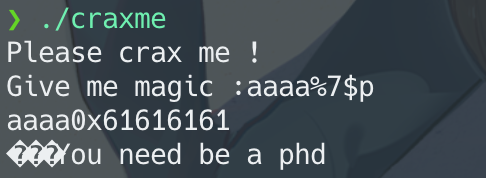 image-20220821160054037